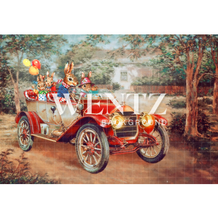 Fabric Photography Background Car with Bunnies / Backdrop CW100