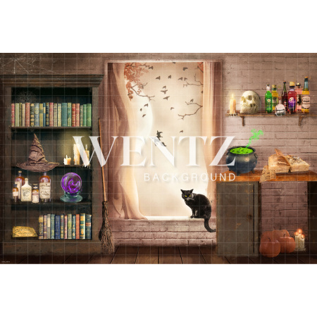 Fabric Photography Background Halloween Witch's Room / Backdrop CW156