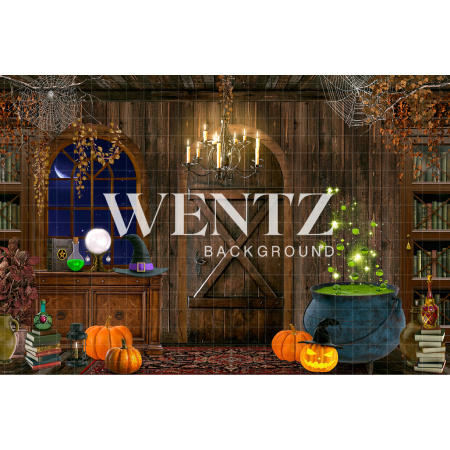 Fabric Photography Background Halloween Witch's Room / Backdrop CW157