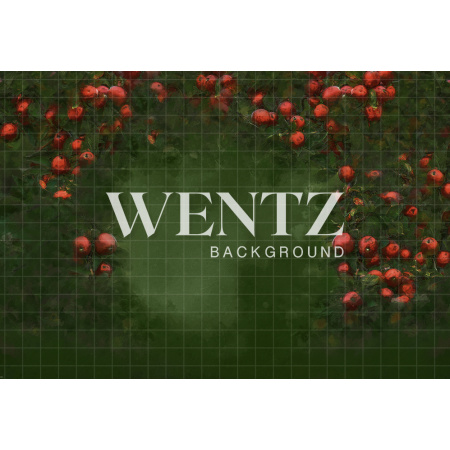 Fabric Photography Background Snow White Apple Forest / Backdrop CW61