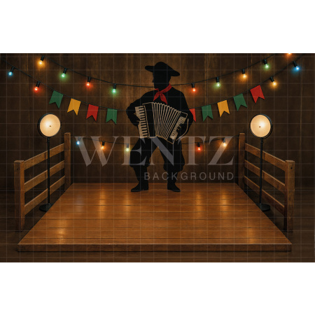 Fabric Photography Background Party Stage / Backdrop 7671