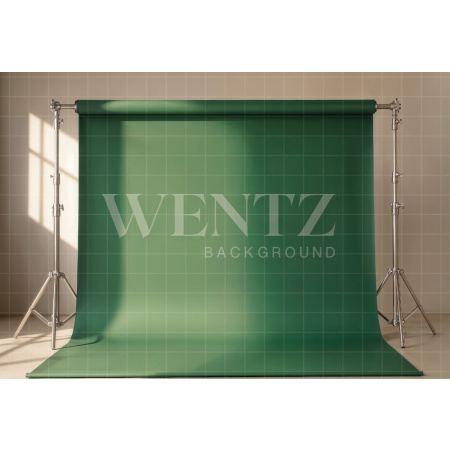 Fabric Photography Background Children's / Backdrop 8589