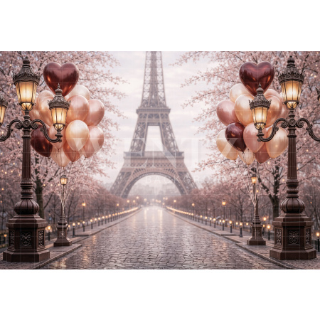Fabric Photography Background Mother's Day Paris / Backdrop 8151