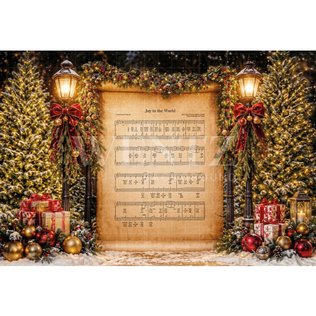 Fabric Photography Background Christmas / Backdrop 8519