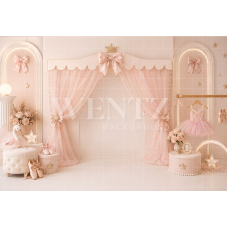 Fabric Photography Background Ballet Cake Smash / Backdrop 8738