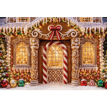 Fabric Photography Background Christmas House / Backdrop 8523
