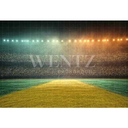 Fabric Photography Background Soccer World Cup / Backdrop 8177