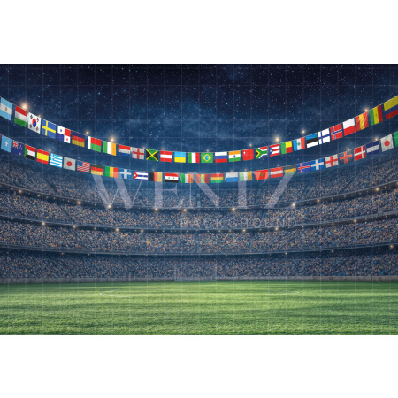 Fabric Photography Background Soccer World Cup / Backdrop 8217