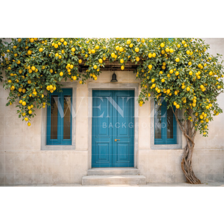 Fabric Photography Background Mother's Day at Casa Grega / Backdrop 8269