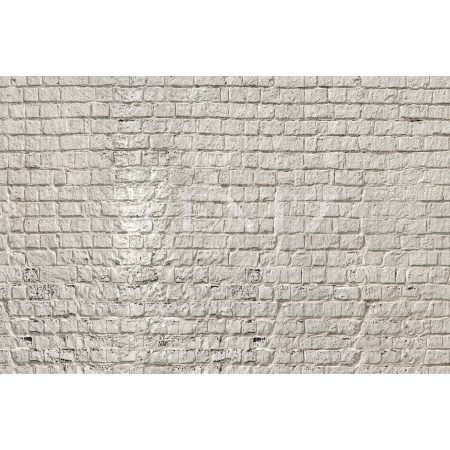 Fabric Photography Background Mother's Day Brick Wall / Backdrop 8306