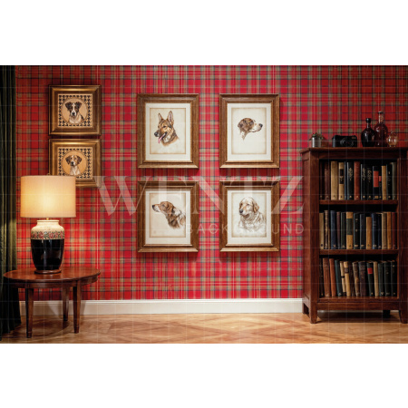 Fabric Photography Background Father's Day / Backdrop 8409
