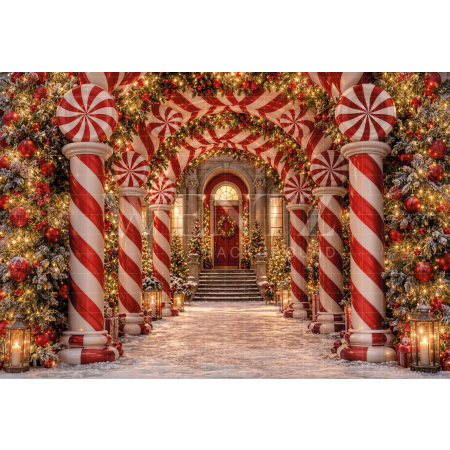 Fabric Photography Background Christmas Facade / Backdrop 8484