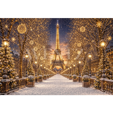 Fabric Photography Background Christmas Paris / Backdrop 8491