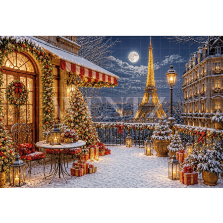 Fabric Photography Background Christmas Paris / Backdrop 8563