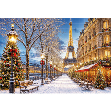 Fabric Photography Background Christmas Paris / Backdrop 8565