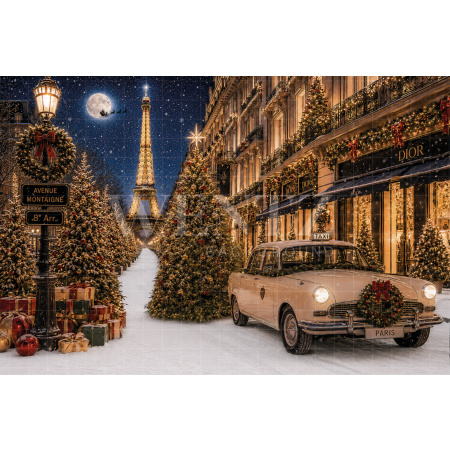 Fabric Photography Background Christmas Paris / Backdrop 8894