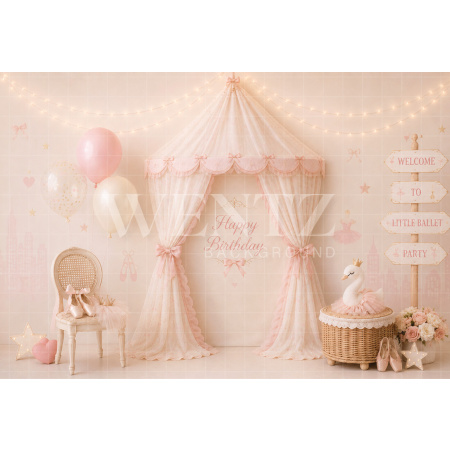 Fabric Photography Background Ballet Cake Smash / Backdrop 8737
