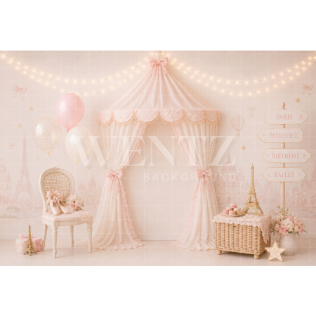 Fabric Photography Background Ballet Cake Smash / Backdrop 8739