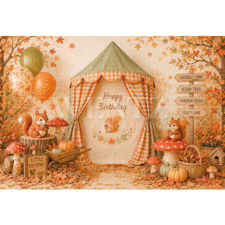 Fabric Photography Background Fall Cake Smash / Backdrop 8812