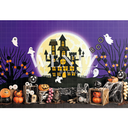 Fabric Photography Background Haunted House / Backdrop 2281