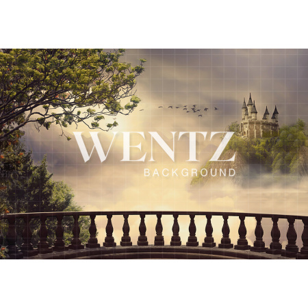 Fabric Photography Background Castle / Backdrop 2299