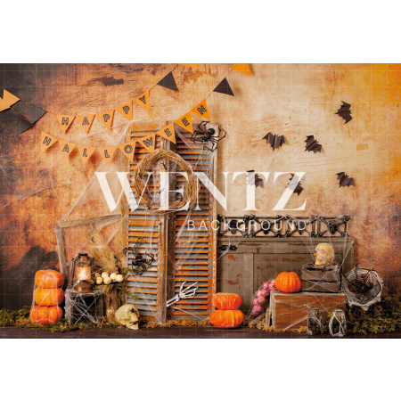 Fabric Photography Background Halloween Set / Backdrop 2280