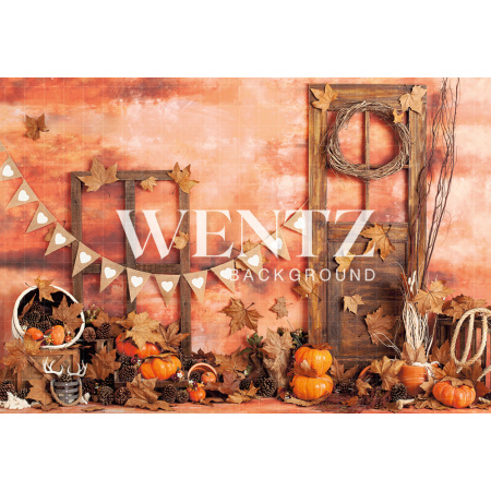 Fabric Photography Background Fall Doors / Backdrop 2291