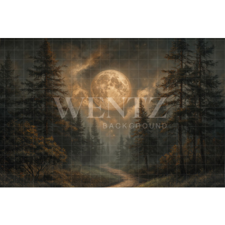 Fabric Photography Background Halloween / Backdrop7620