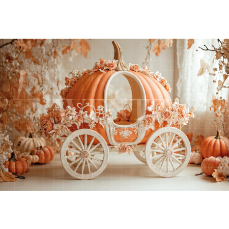 Fabric Photography Background Halloween / Backdrop 7625
