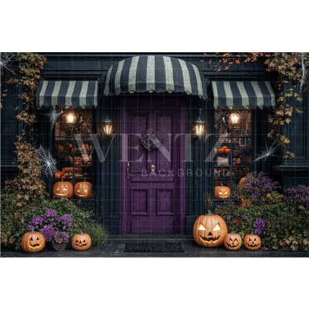 Fabric Photography Background Halloween Facade / Backdrop 7641