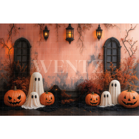 Fabric Photography Background Halloween Ghosts / Backdrop 7648