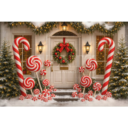 Fabric Photography Background Christmas Door / Backdrop 7542
