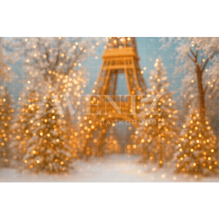 Fabric Photography Background Winter in Paris / Backdrop 7580